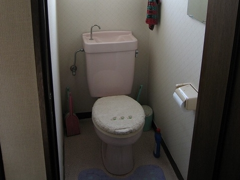 gC BEFORE